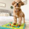 como cuidar a tu mascota de pulgas y garrapatas