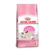 Royal Canin Mother y Babycat