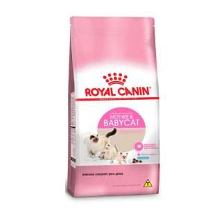 Royal Canin Mother y Babycat