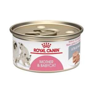 royal canin lata mother and